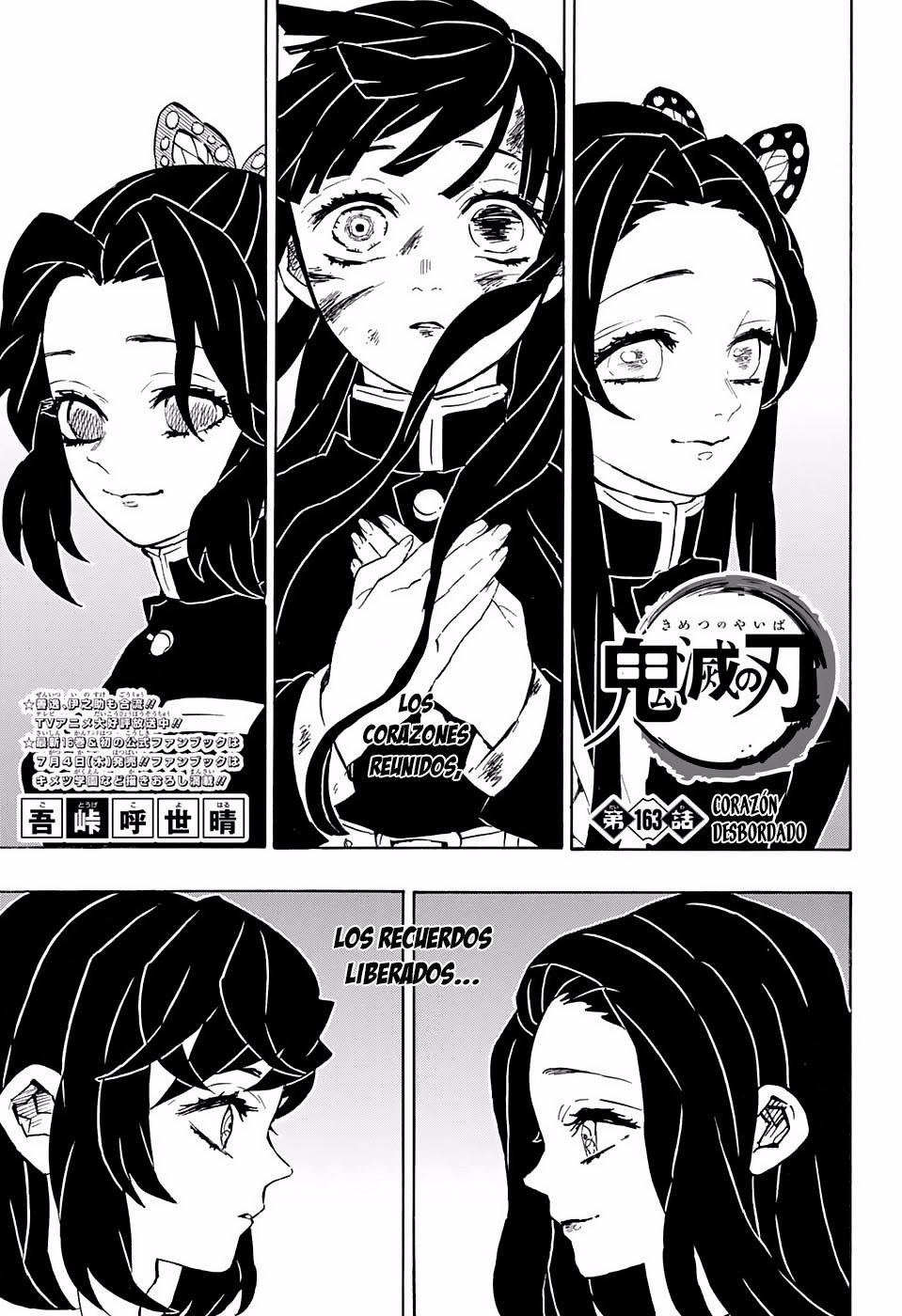 Read Demon Slayer_ Kimetsu no Yaiba Español Manga Online