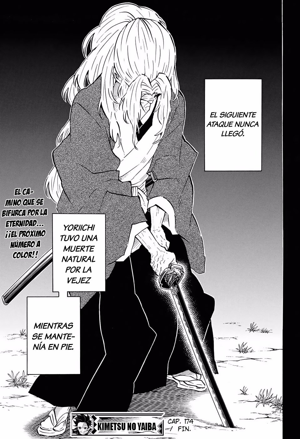 Read Demon Slayer_ Kimetsu no Yaiba Español Manga Online