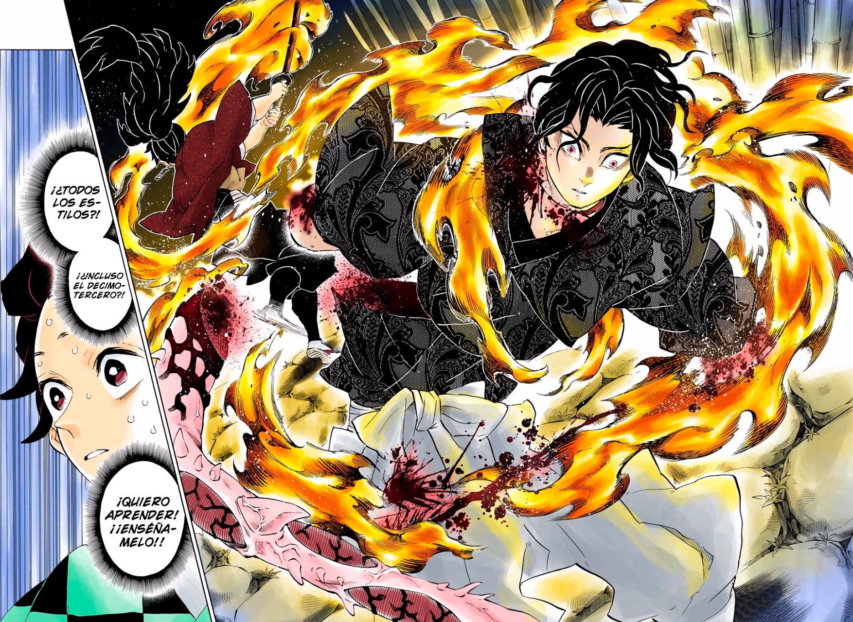 Read Demon Slayer_ Kimetsu no Yaiba Español Manga Online