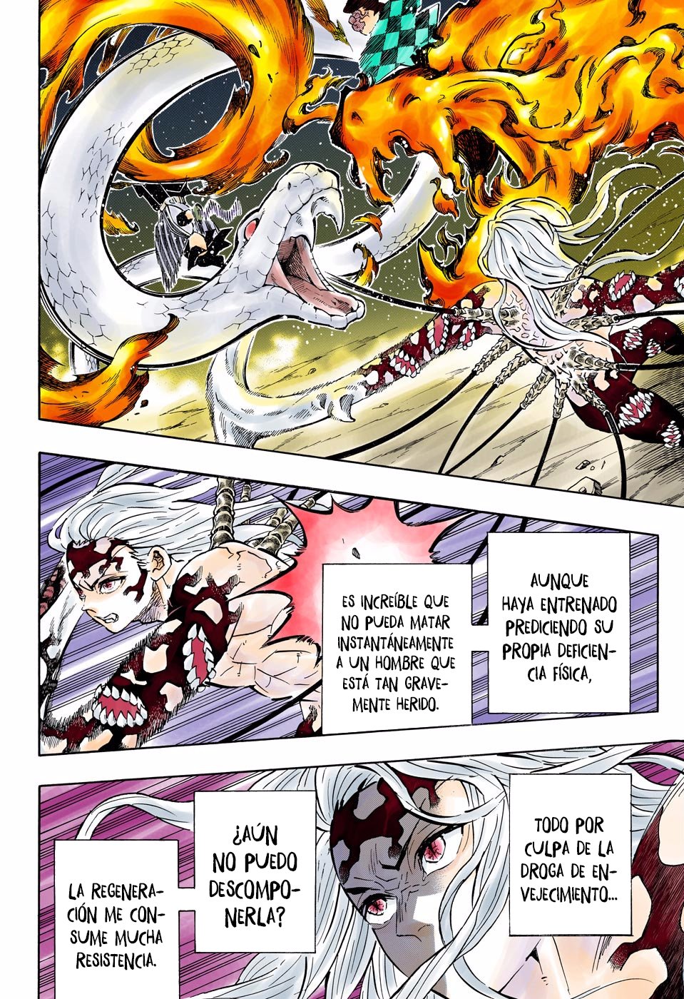 Read Demon Slayer_ Kimetsu no Yaiba Español Manga Online