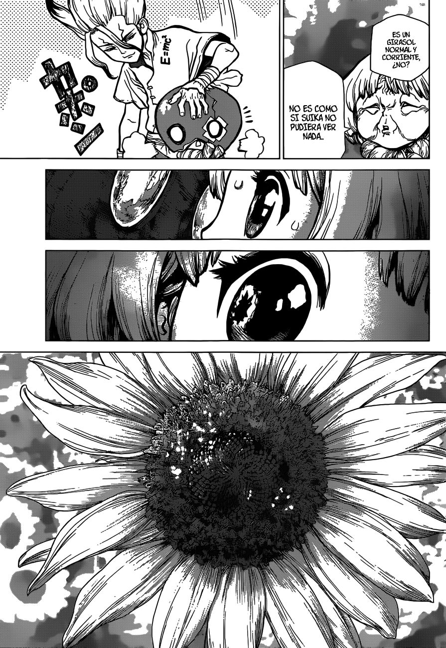 Read Dr. Stone Español Manga Online