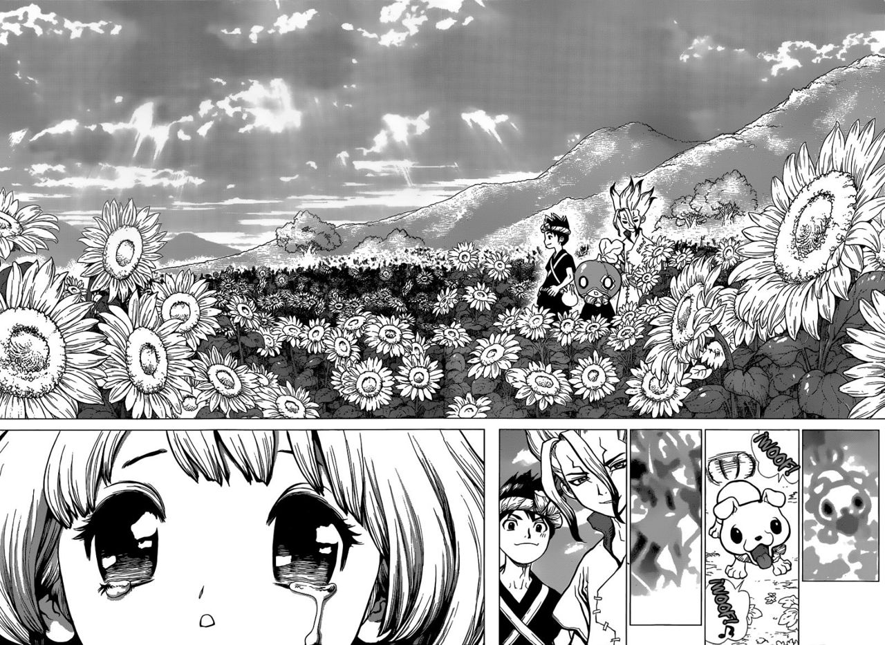 Read Dr. Stone Español Manga Online