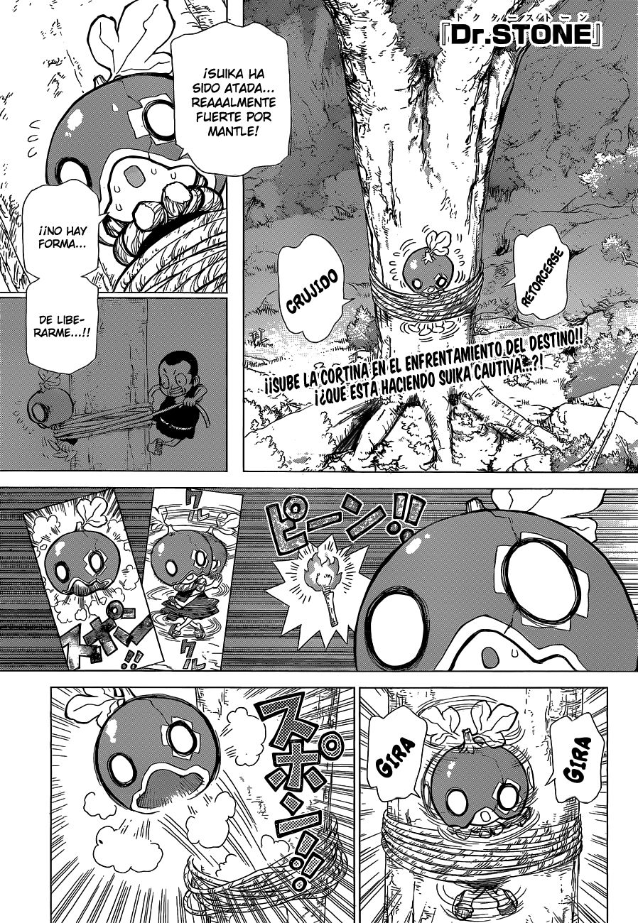 Read Dr. Stone Español Manga Online