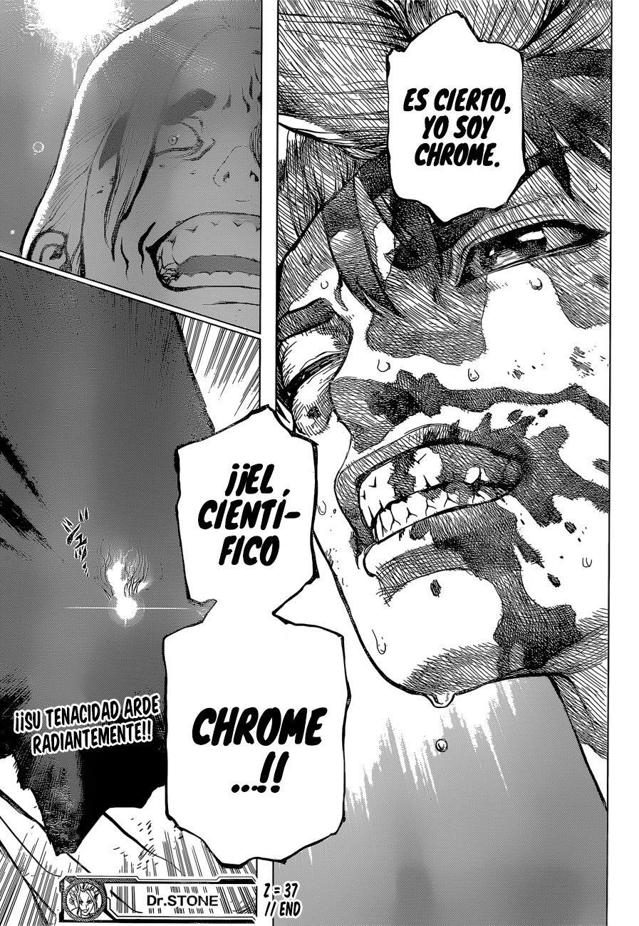 Read Dr. Stone Español Manga Online