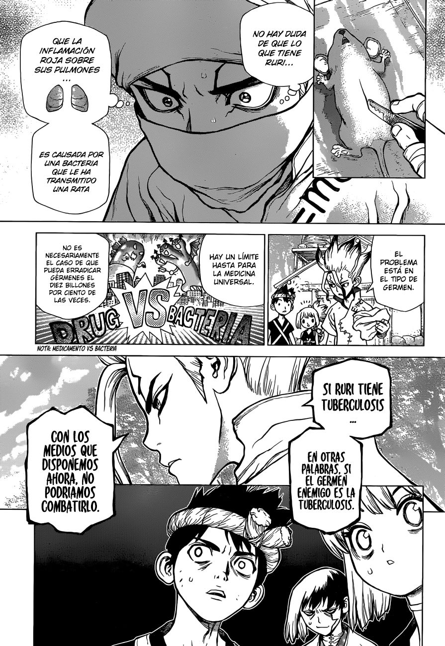 Read Dr. Stone Español Manga Online