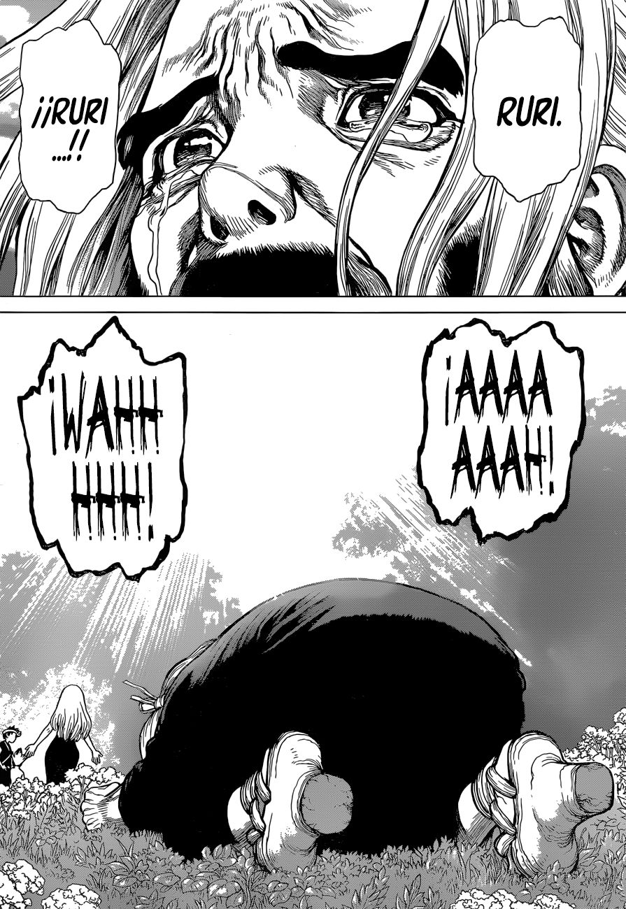 Read Dr. Stone Español Manga Online