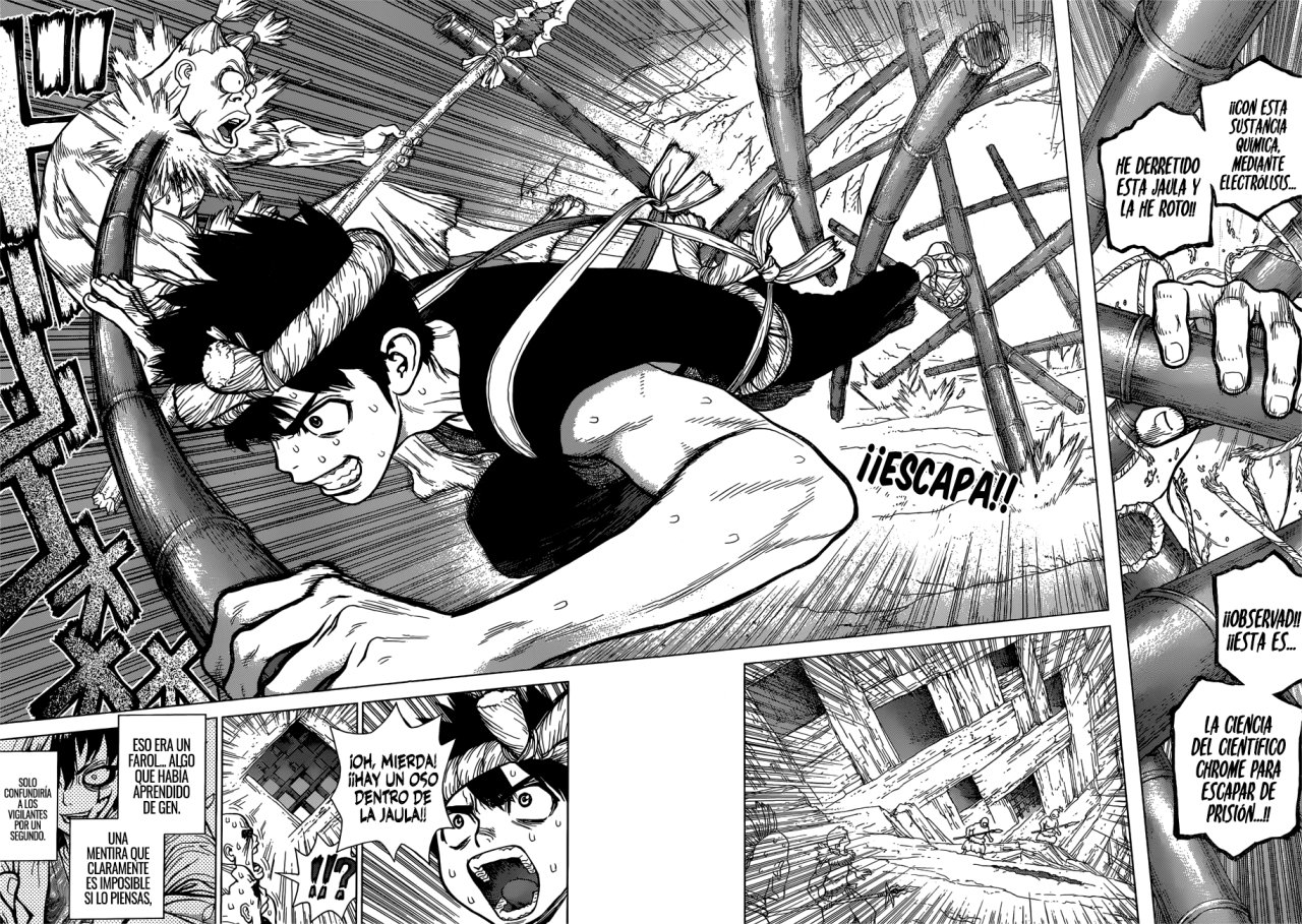 Read Dr. Stone Español Manga Online