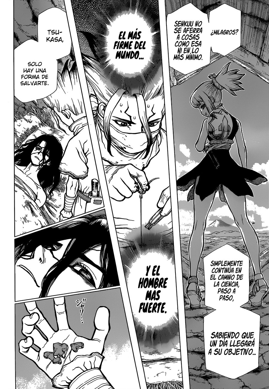 Read Dr. Stone Español Manga Online