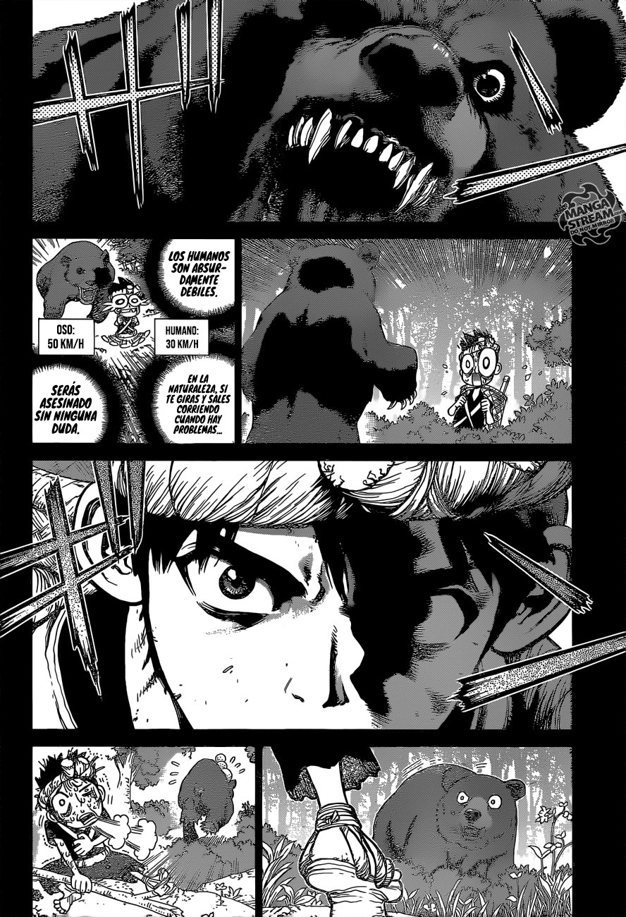 Read Dr. Stone Español Manga Online