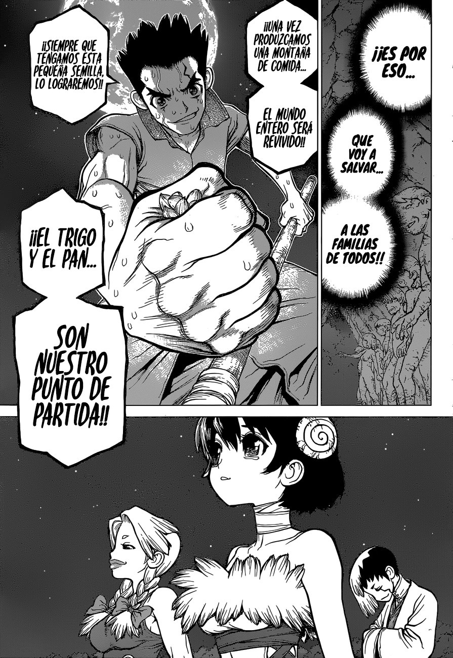 Read Dr. Stone Español Manga Online