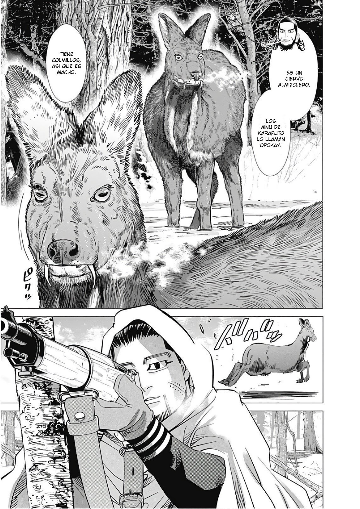 Read Golden Kamuy Español Manga Online