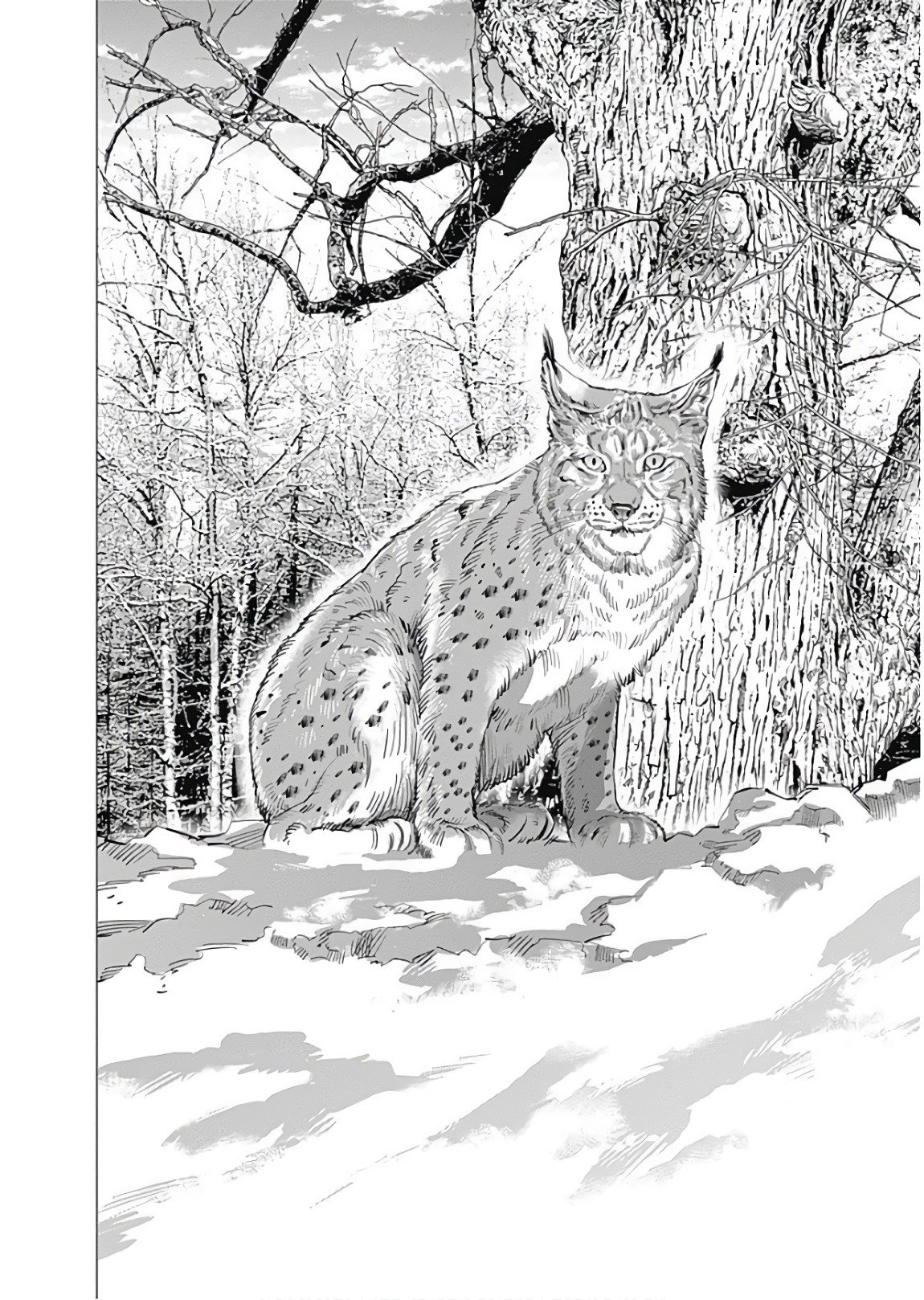 Read Golden Kamuy Español Manga Online