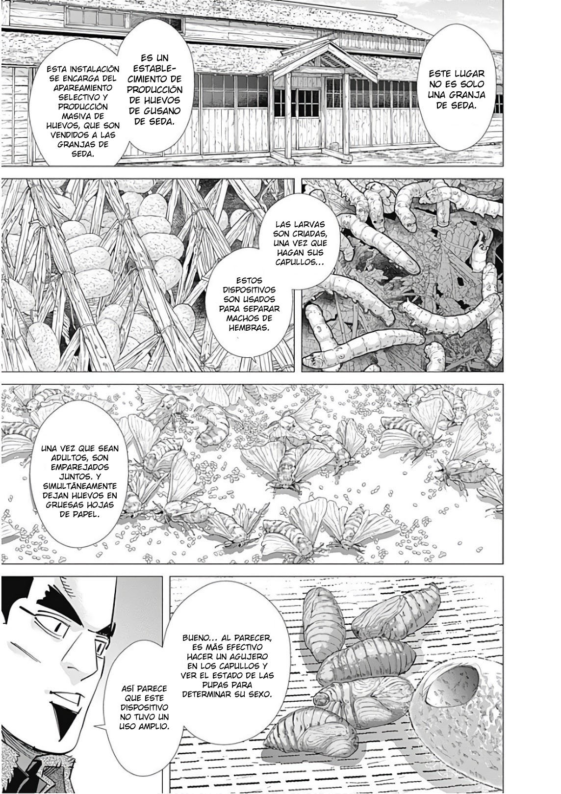 Read Golden Kamuy Español Manga Online