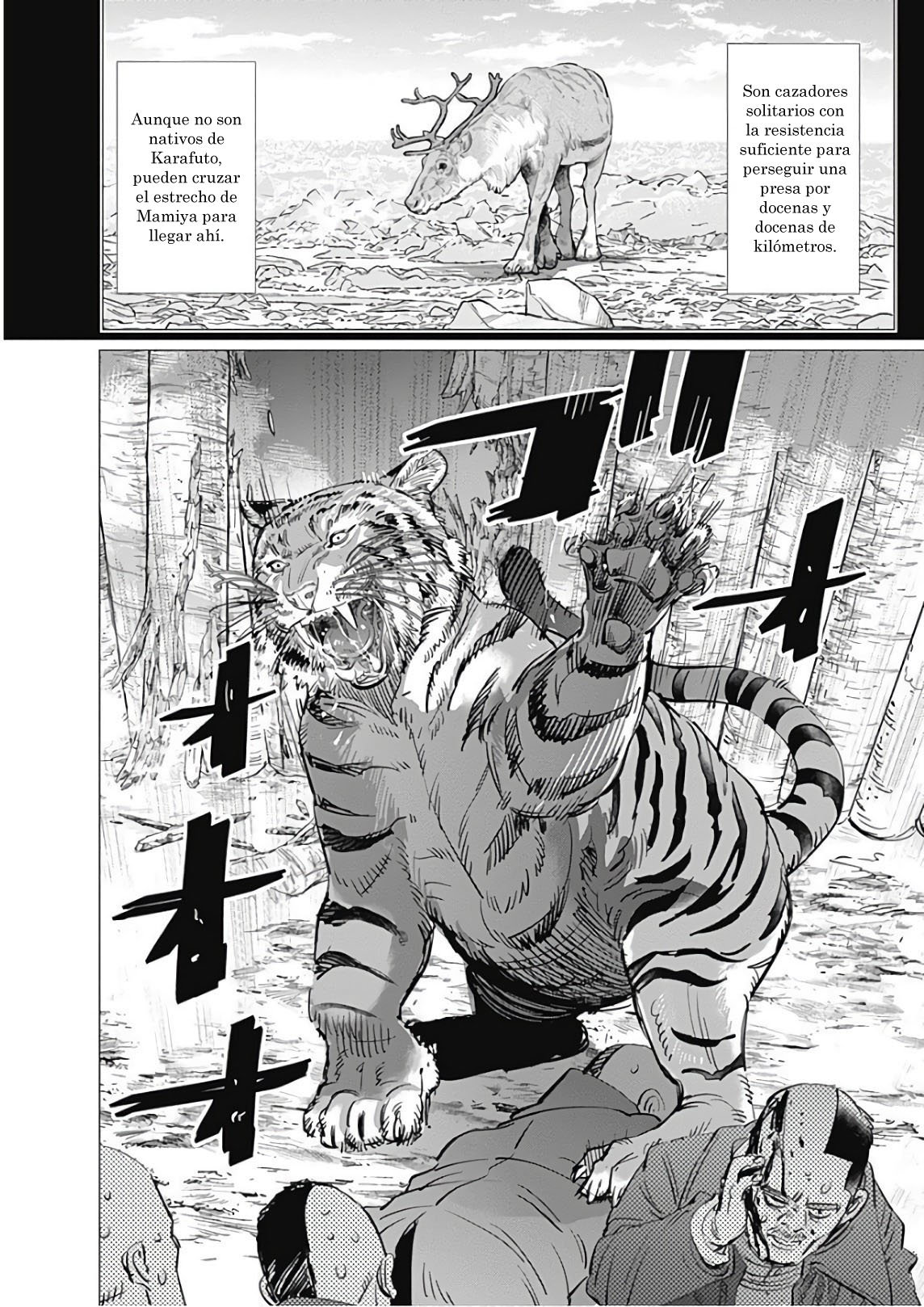 Read Golden Kamuy Español Manga Online