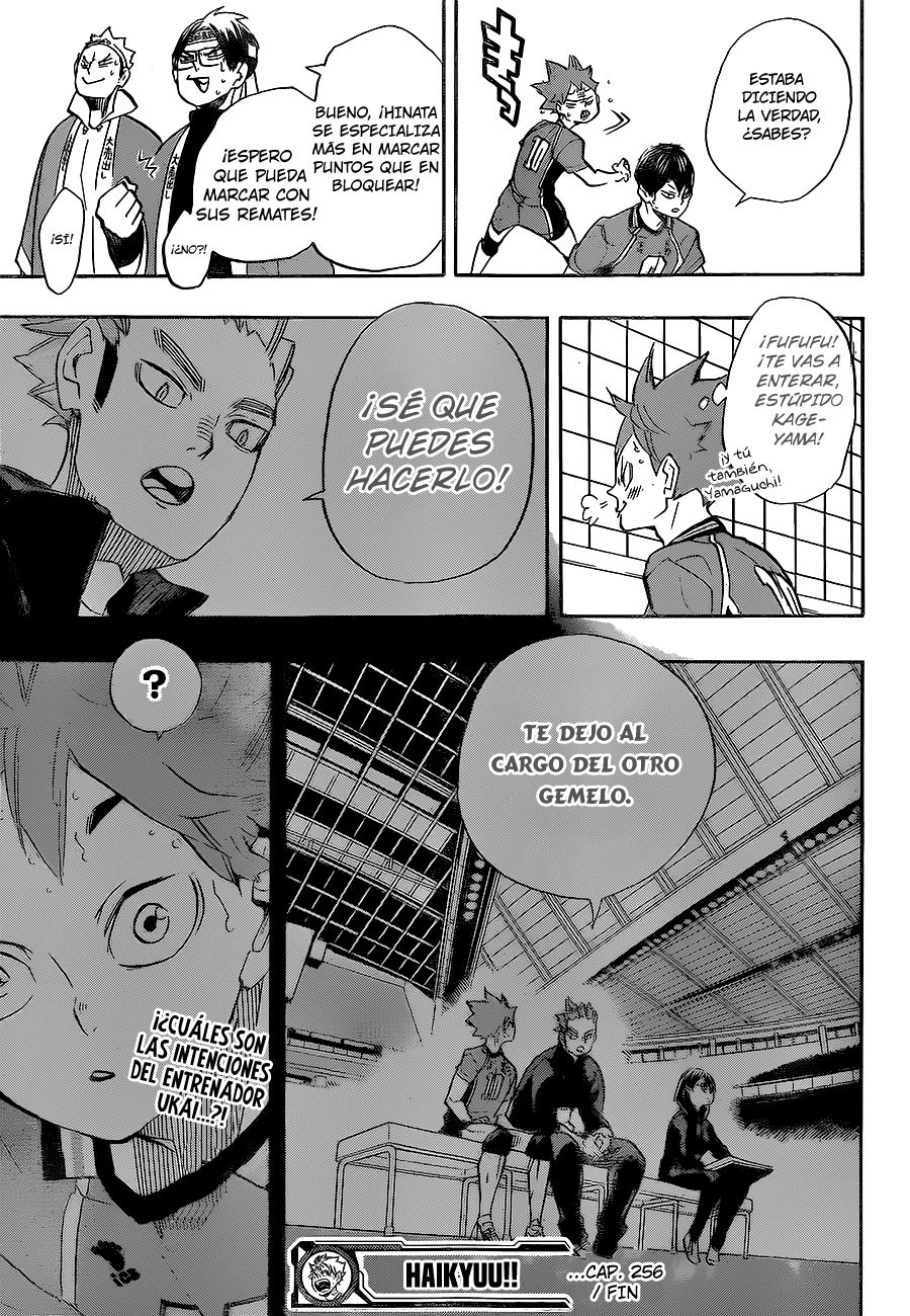 Read Haikyu!! Español Manga Online