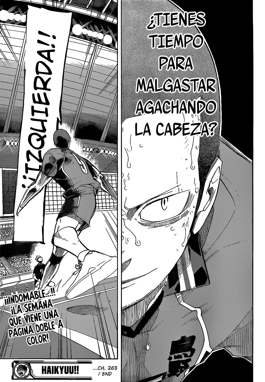 Read Haikyu!! Español Manga Online