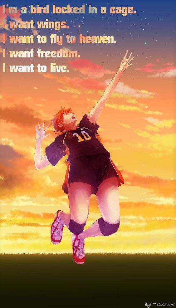 Read Haikyu!! Español Manga Online