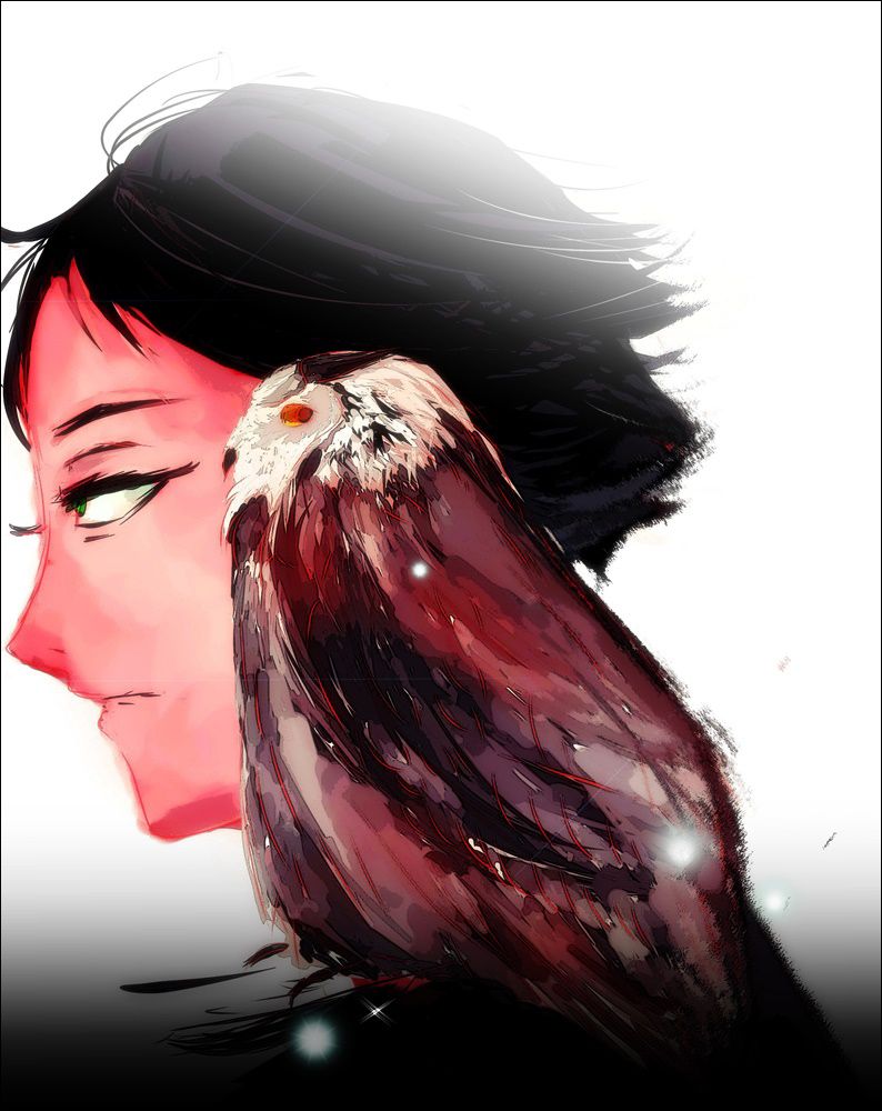 Read Haikyu!! Español Manga Online