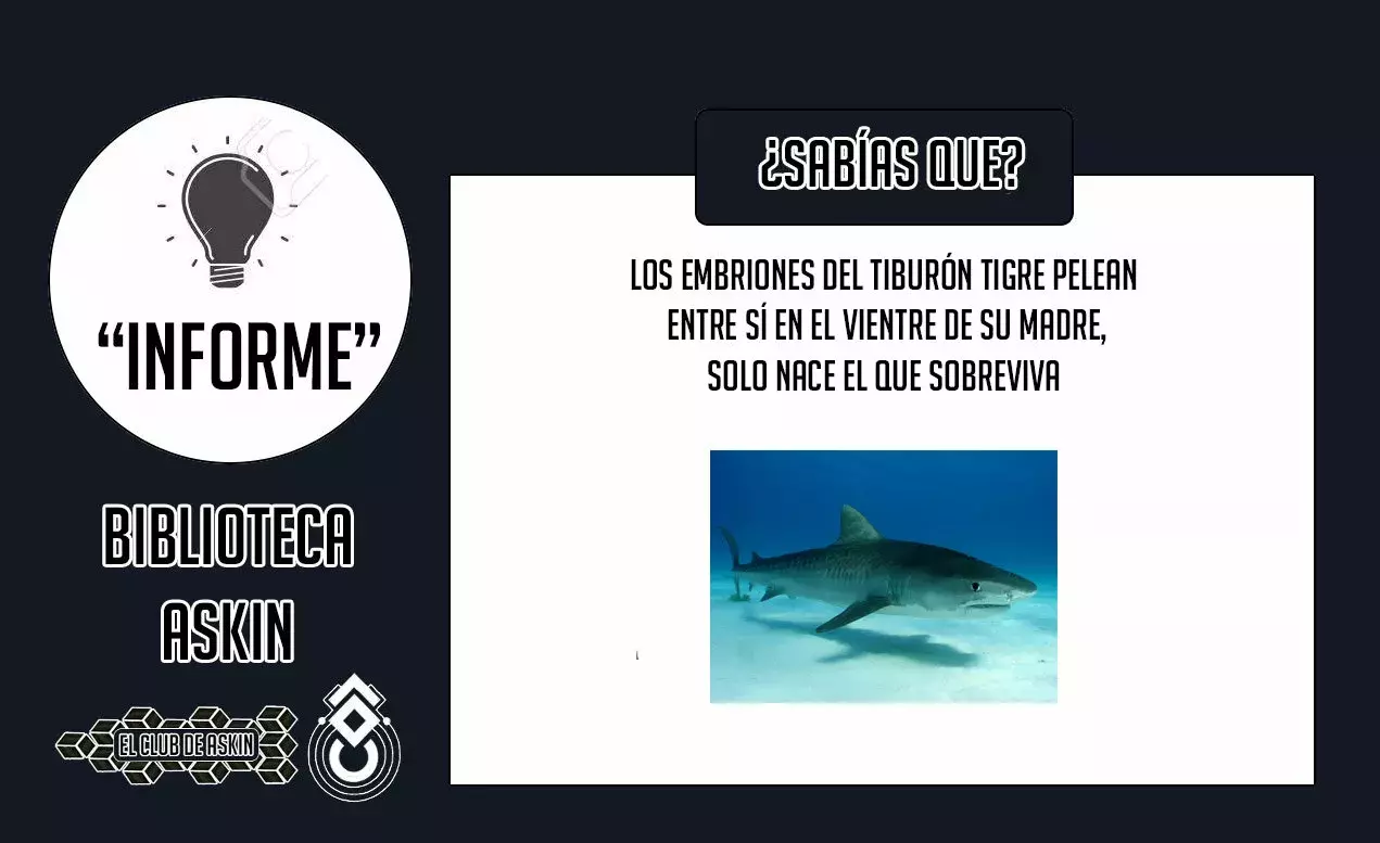 Read Jujutsu Kaisen Español Manga Online