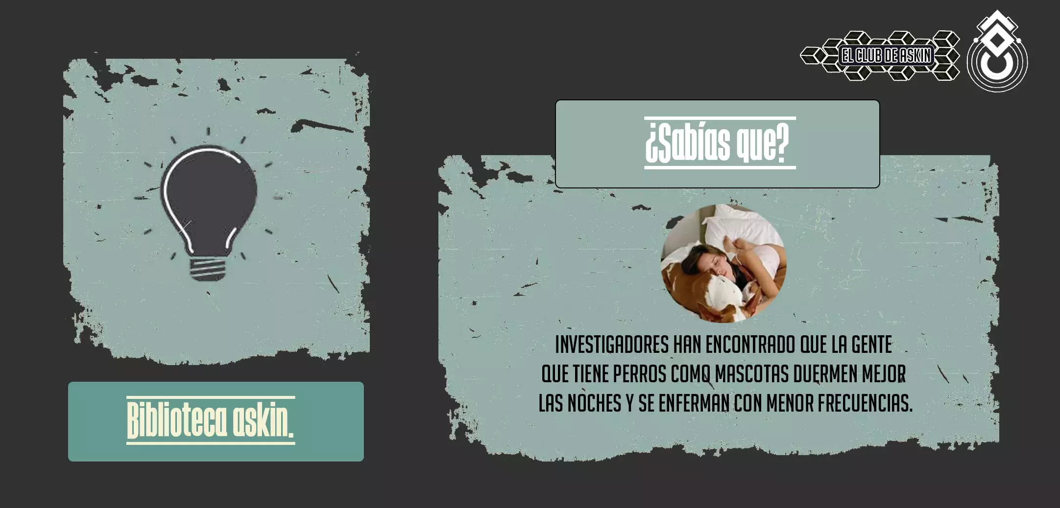 Read Jujutsu Kaisen Español Manga Online