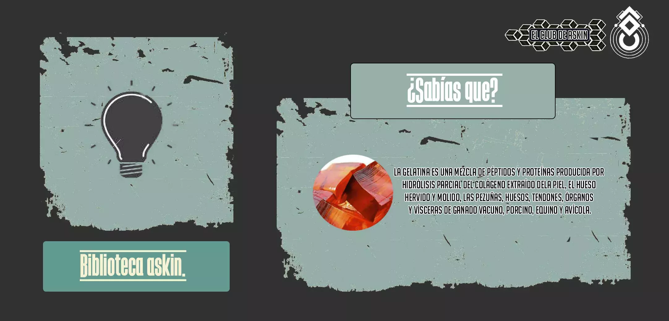 Read Jujutsu Kaisen Español Manga Online