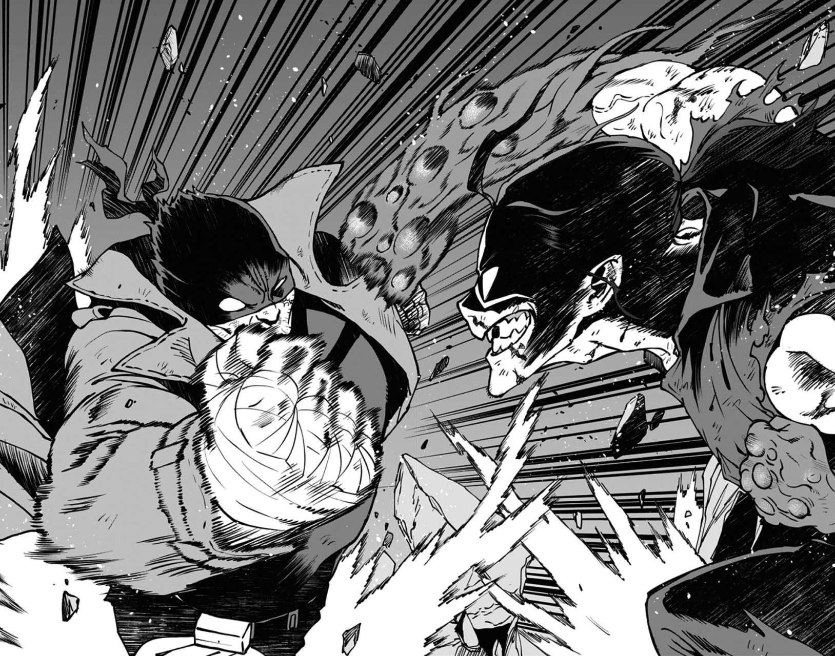 Read My Hero Academia_Vigilantes Español Manga Online