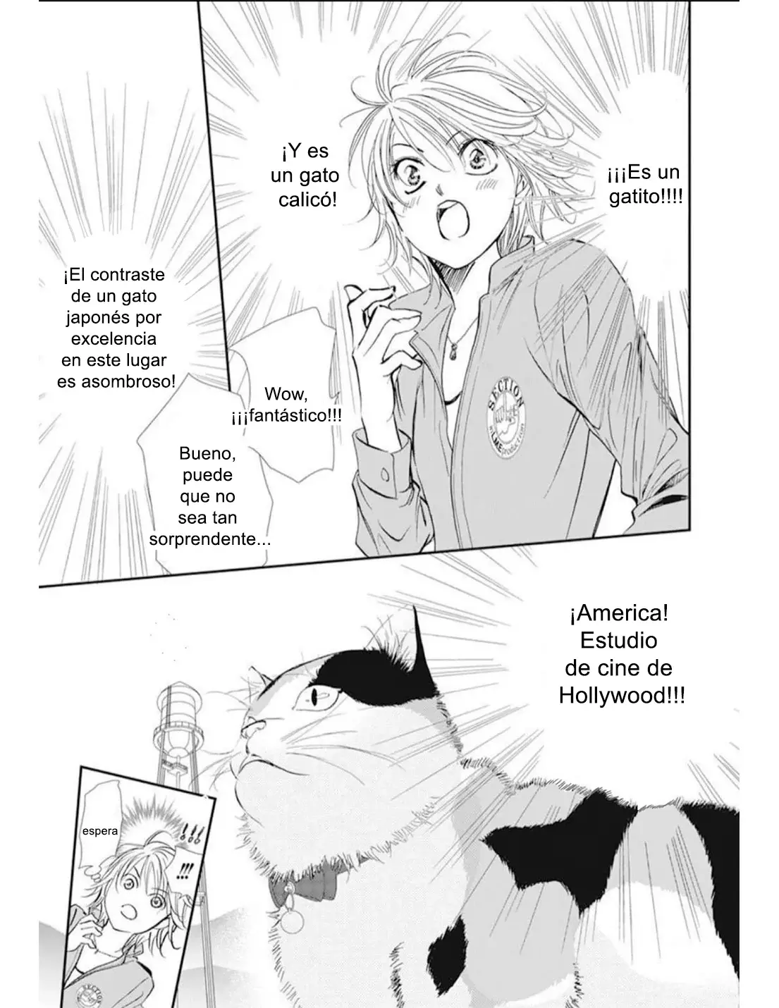 Read Skip Beat! Español Manga Online