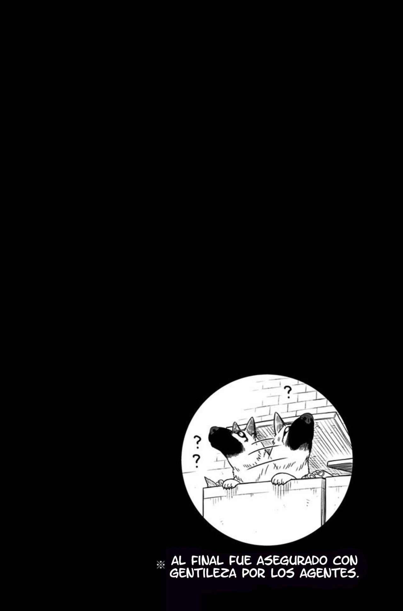 Read Spy X Family Español Manga Online