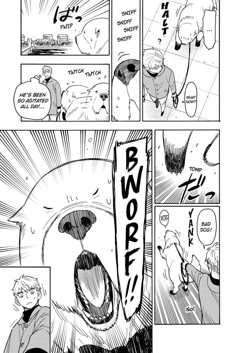 Read Spy X Family Español Manga Online