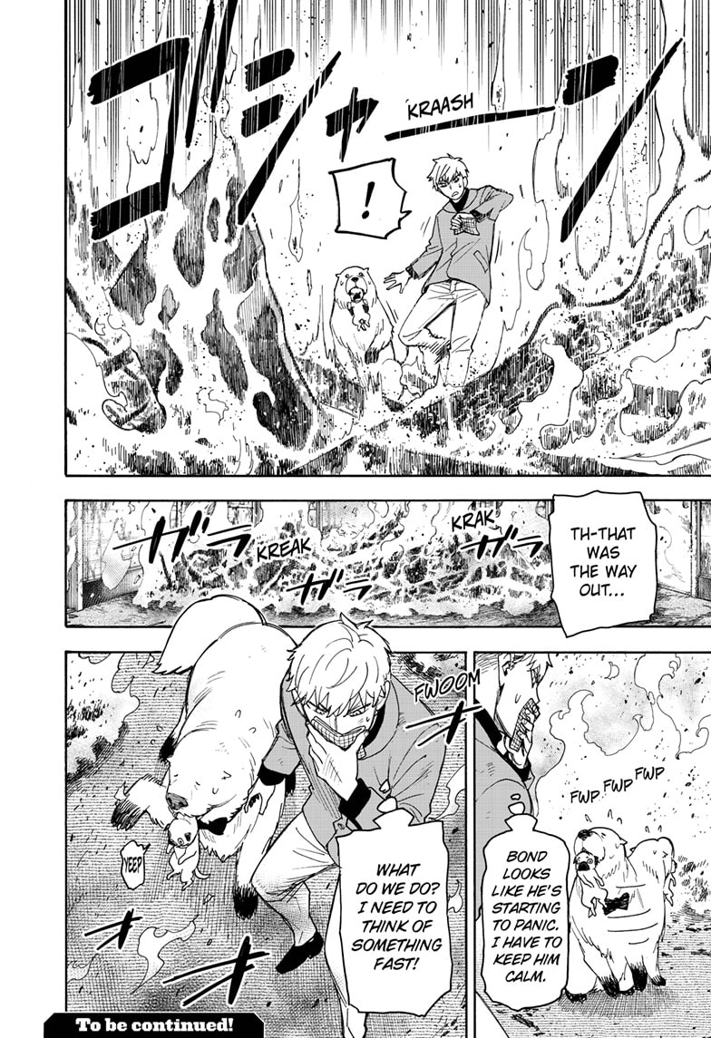 Read Spy X Family Español Manga Online