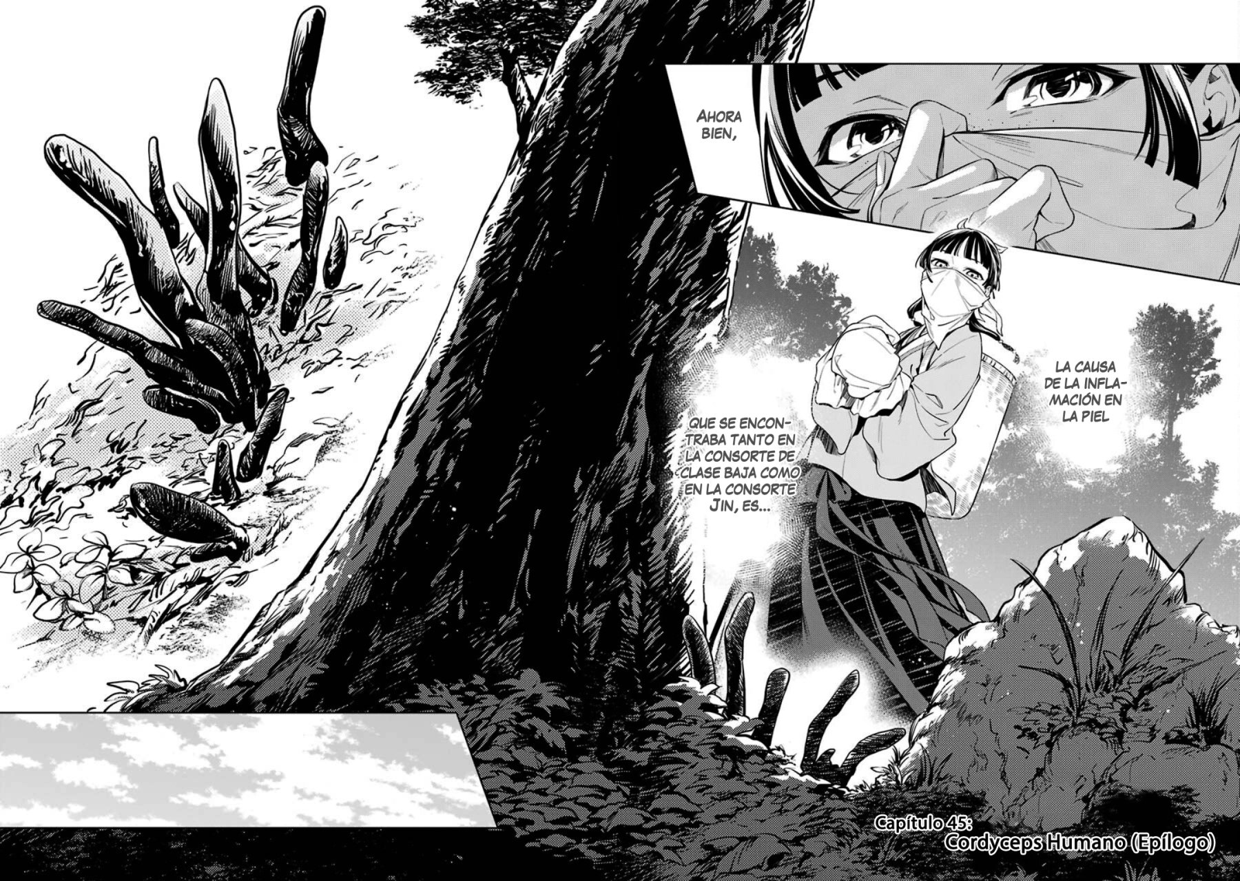 Read The Apothecary Diaries Español Manga Online
