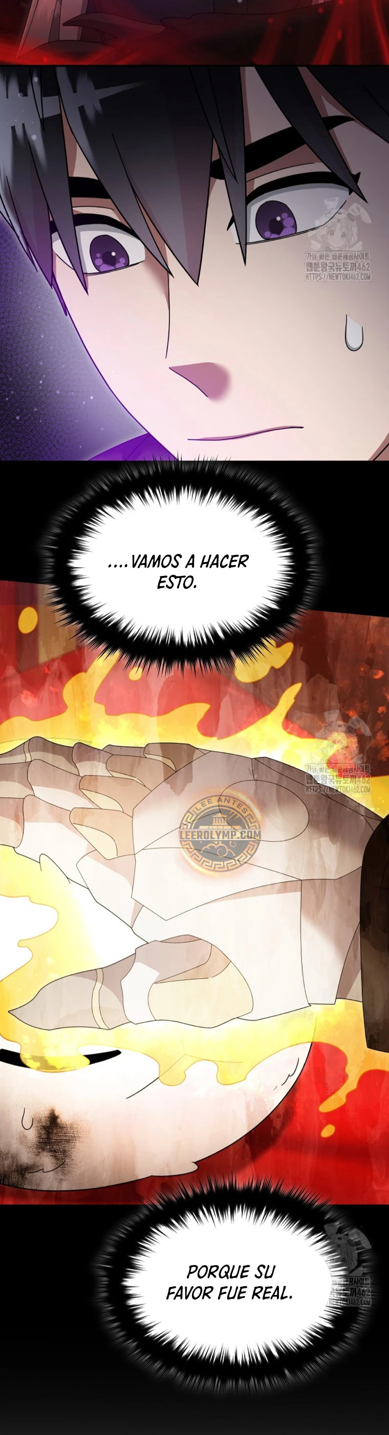 Read The Newbie is Too Strong Español Manga Online