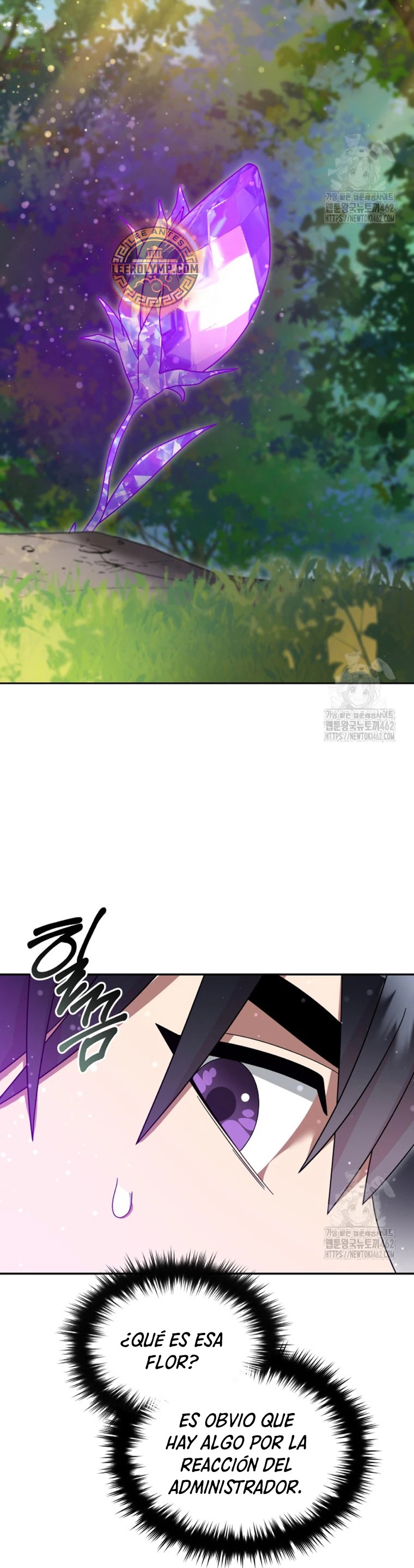 Read The Newbie is Too Strong Español Manga Online