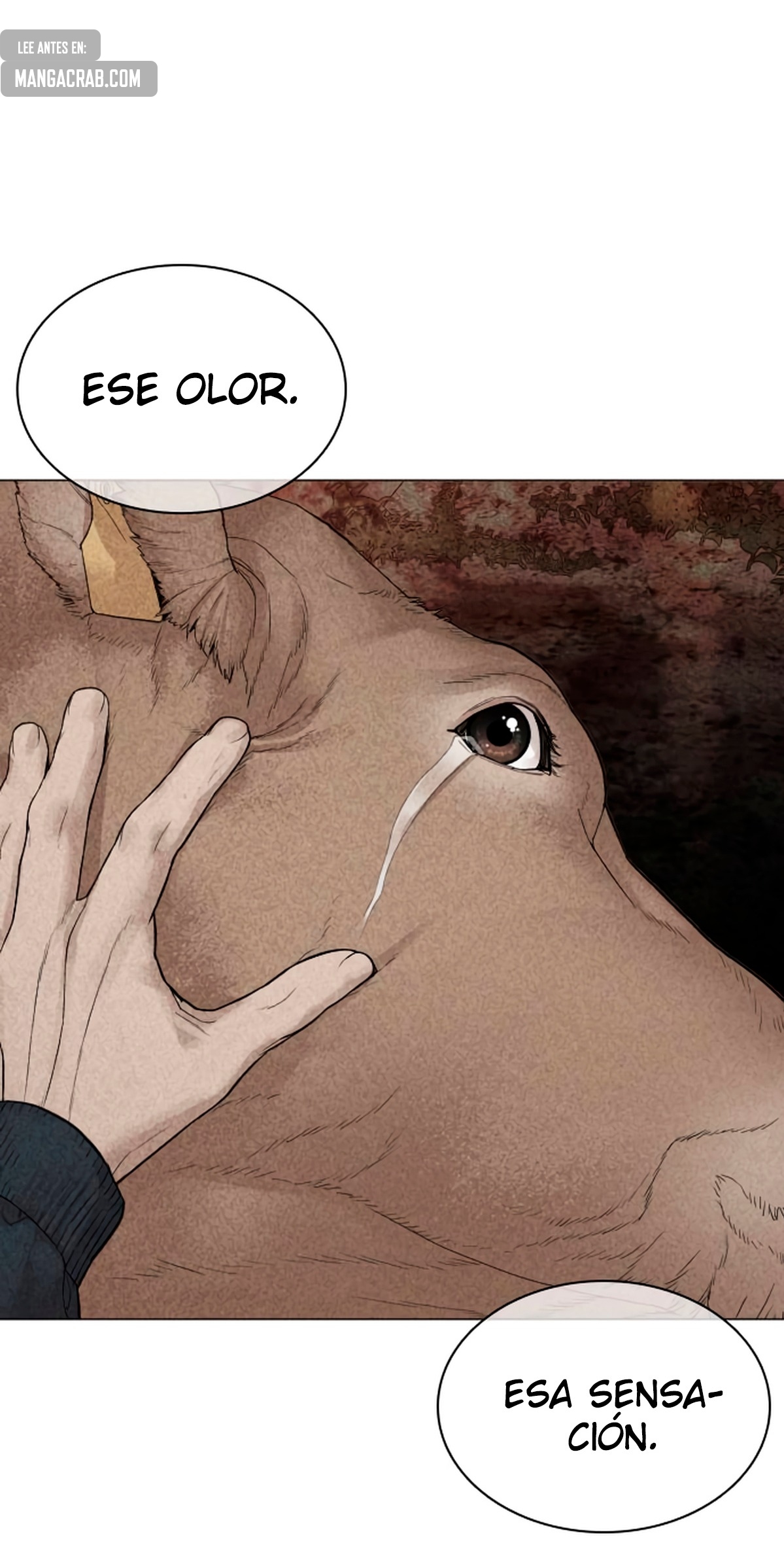 Read Viral Hit Español Manga Online