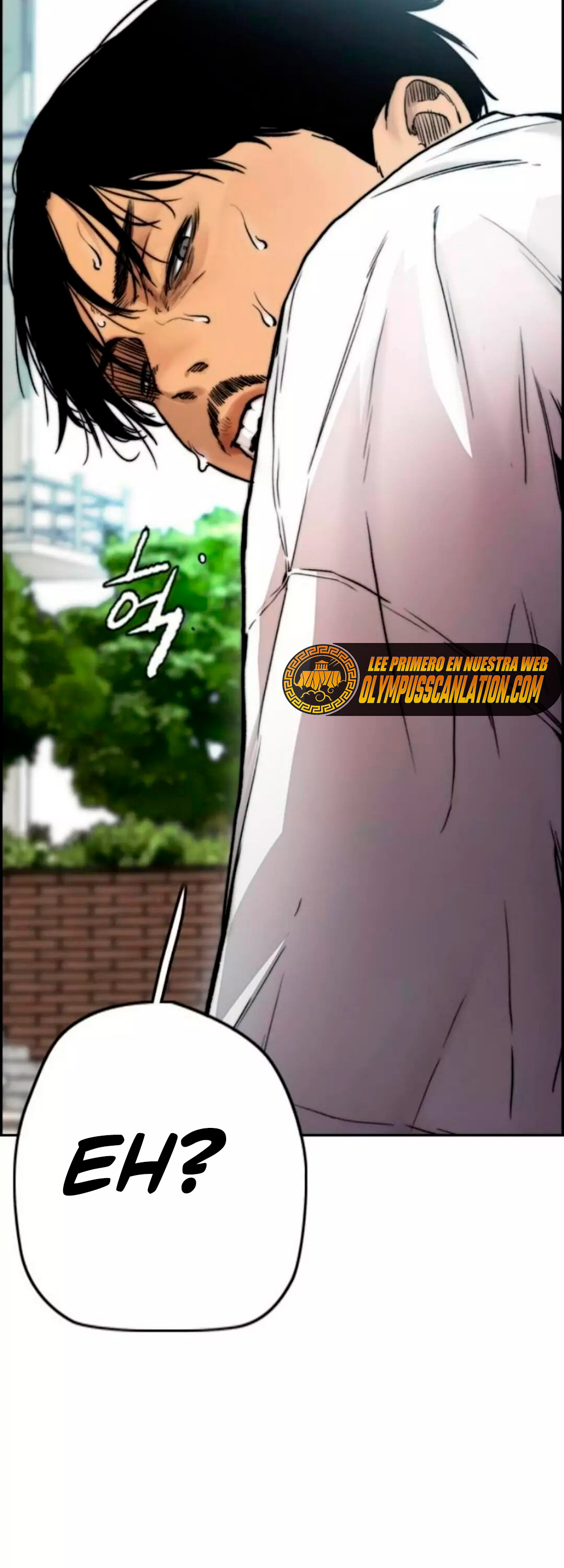 Read Wind Breaker Manhwa Español Manga Online