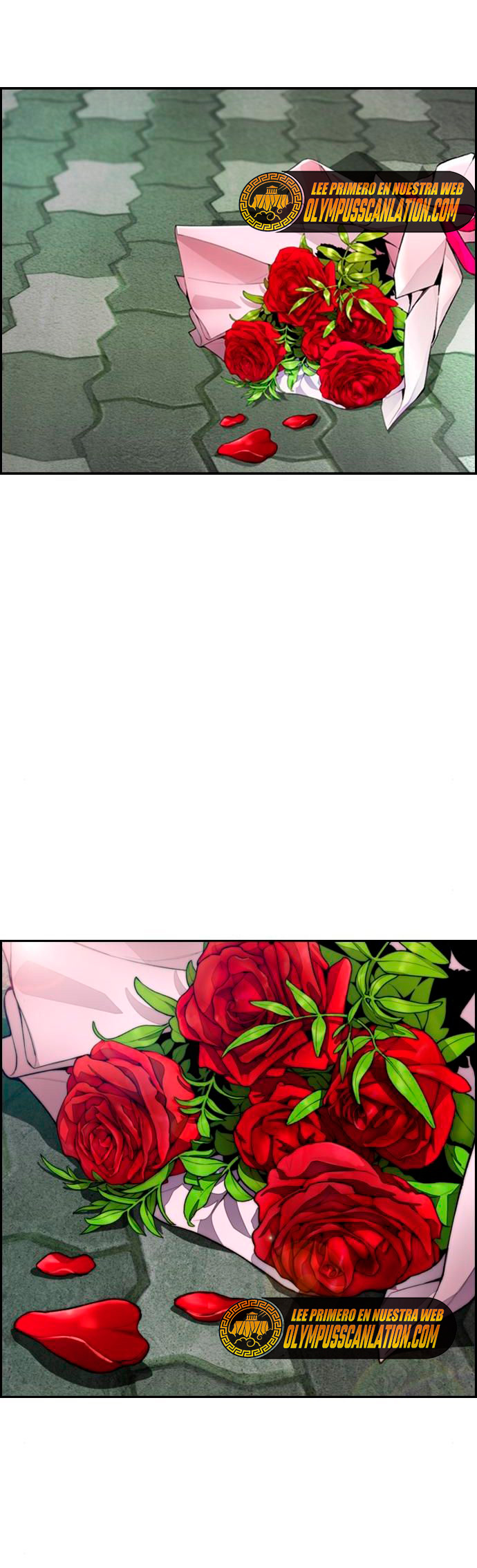 Read Wind Breaker Manhwa Español Manga Online