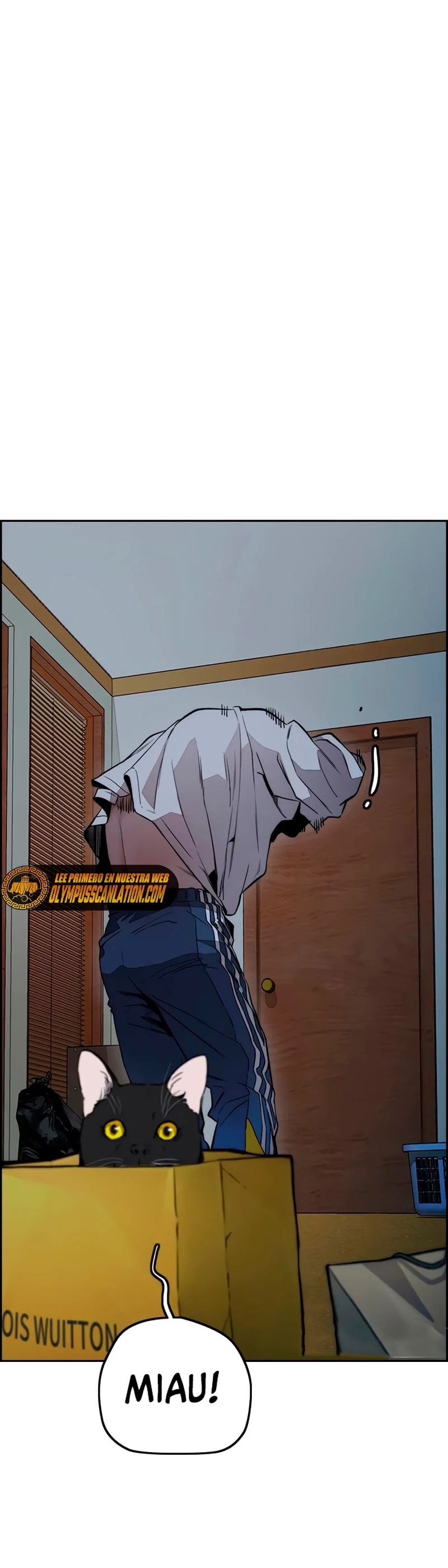 Read Wind Breaker Manhwa Español Manga Online