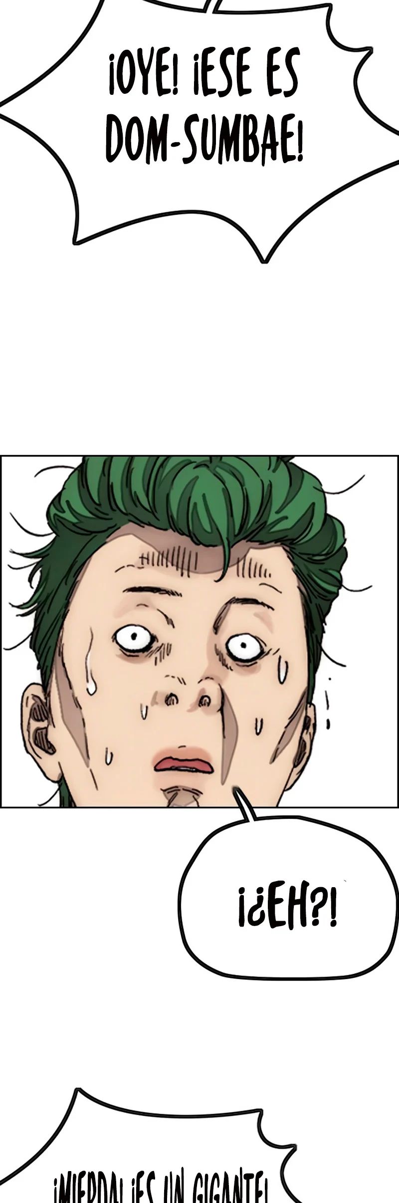 Read Wind Breaker Manhwa Español Manga Online