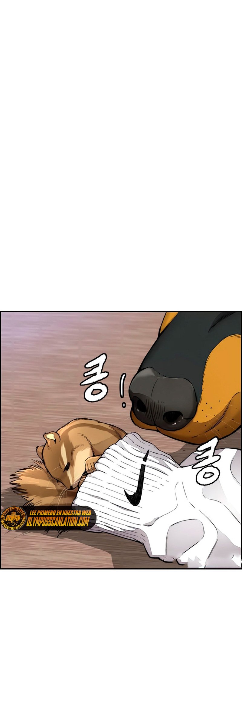 Read Wind Breaker Manhwa Español Manga Online