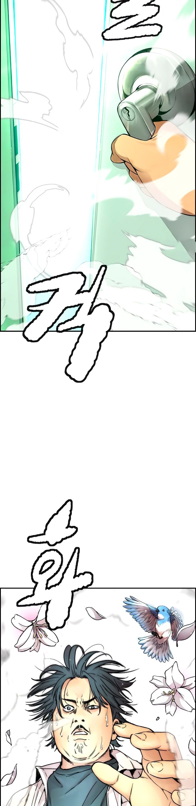 Read Wind Breaker Manhwa Español Manga Online