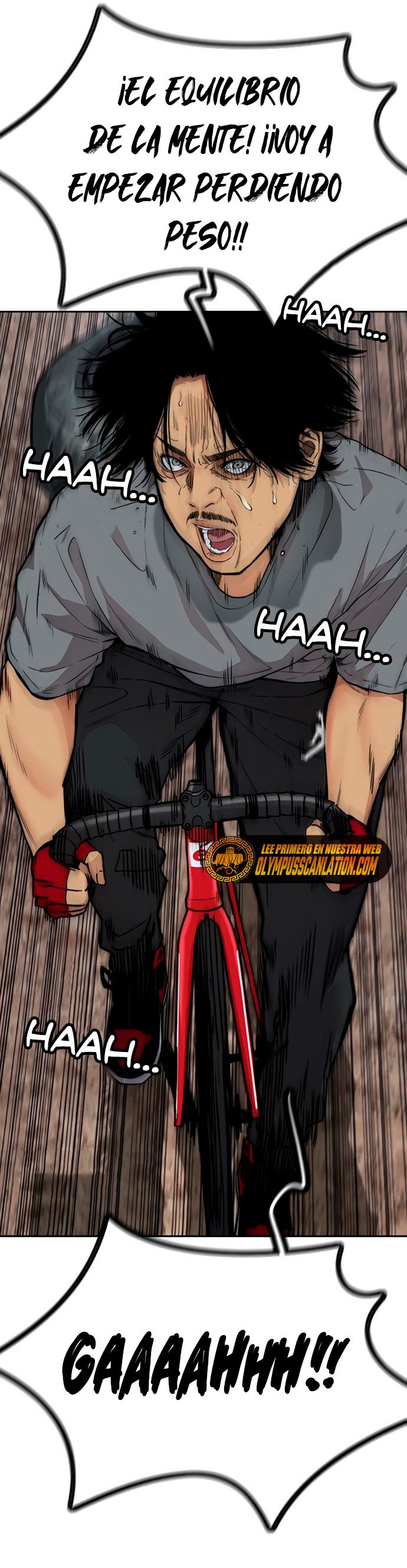 Read Wind Breaker Manhwa Español Manga Online