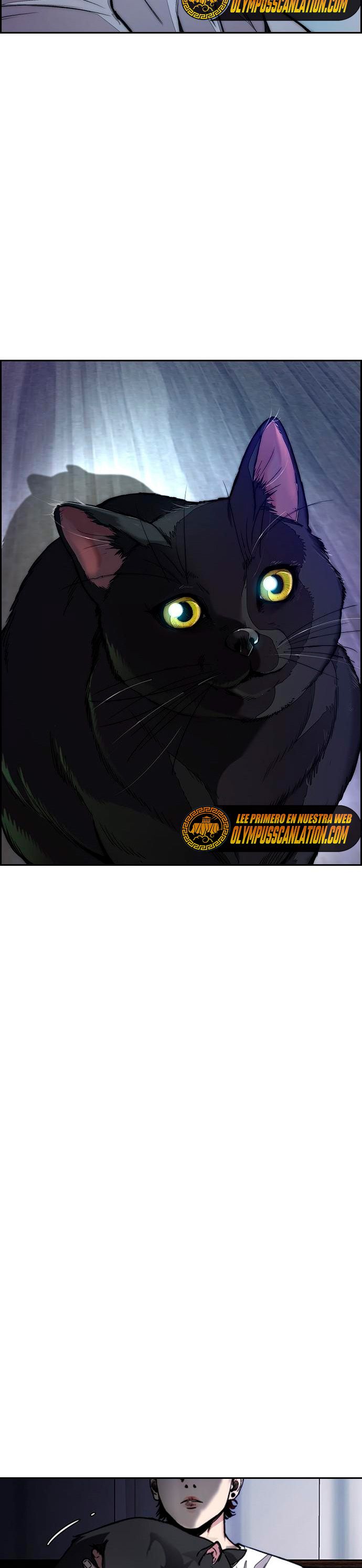 Read Wind Breaker Manhwa Español Manga Online