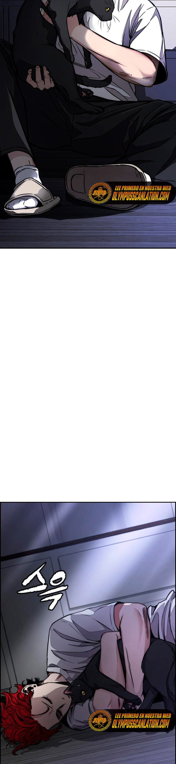 Read Wind Breaker Manhwa Español Manga Online