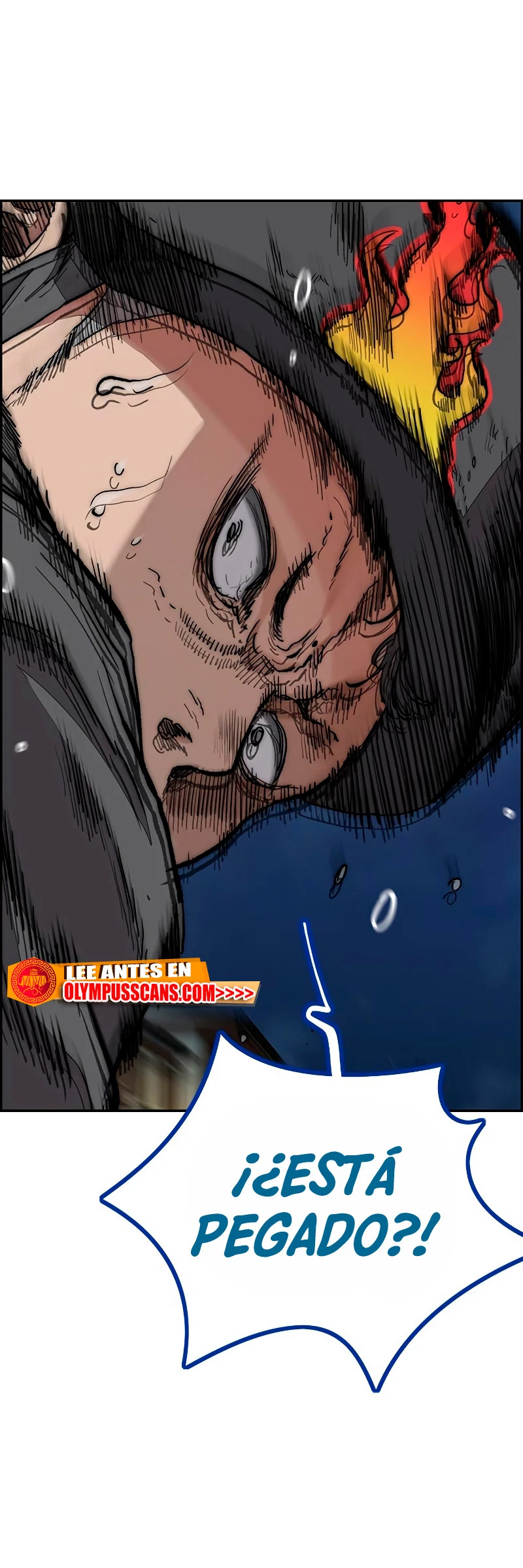 Read Wind Breaker Manhwa Español Manga Online