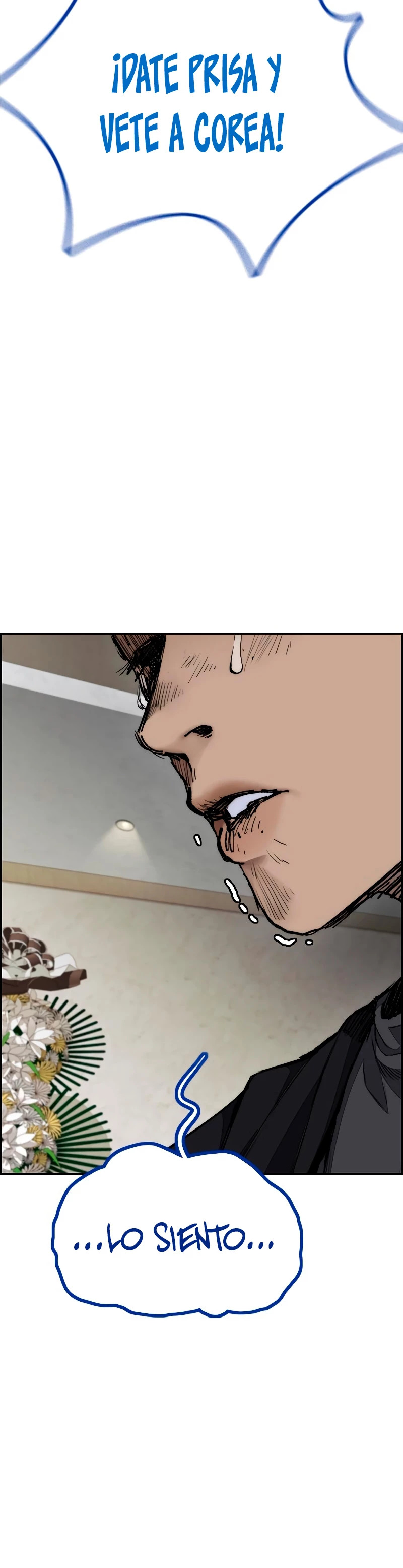 Read Wind Breaker Manhwa Español Manga Online