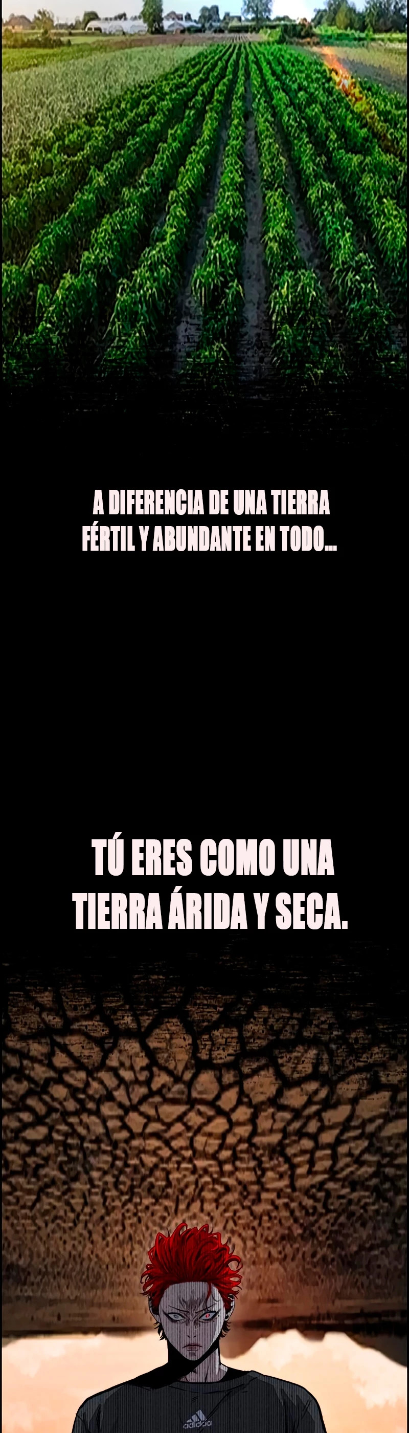 Read Wind Breaker Manhwa Español Manga Online