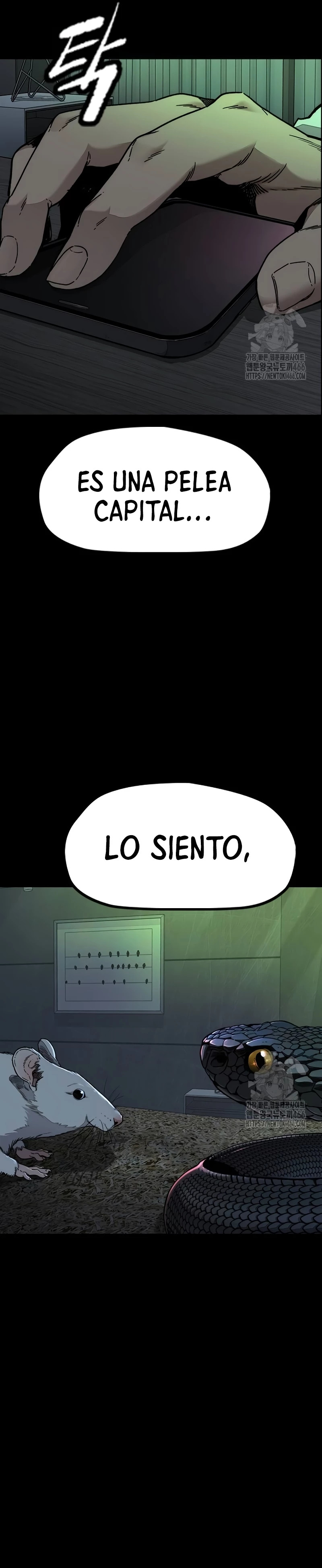 Read Wind Breaker Manhwa Español Manga Online