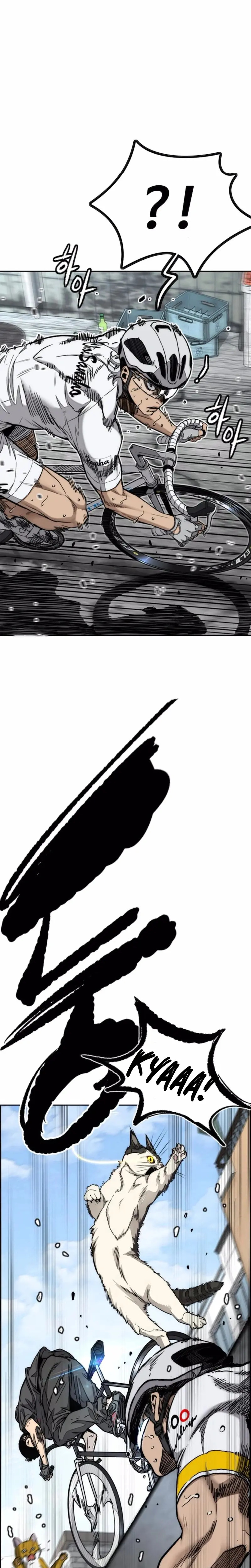 Read Wind Breaker Manhwa Español Manga Online