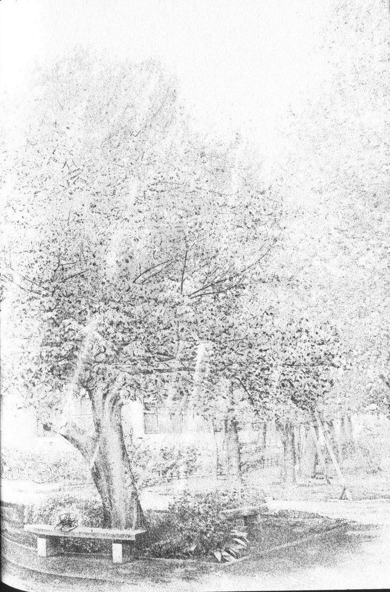 Read Ascension FRANCAIS Manga Online