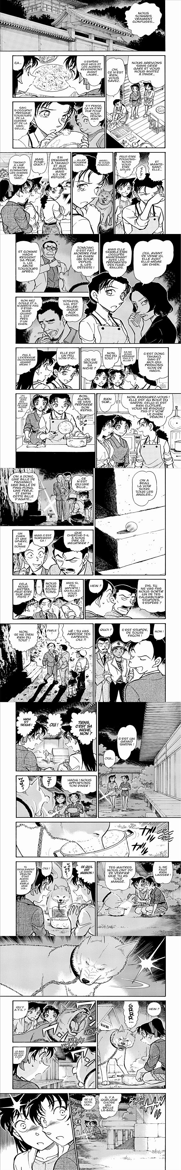 Read Detective Conan FRANCAIS Manga Online